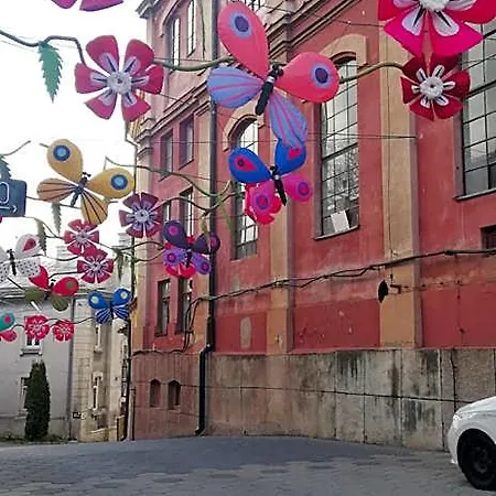 B&B By Lubartowska Street 루블린